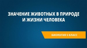 Урок 22. Значение животных в природе и жизни человека