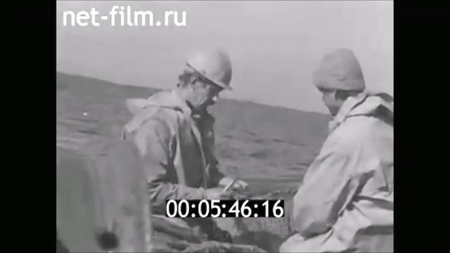 Разведение лосося в СССР на Камчатке. 1984 год смотреть онлайн