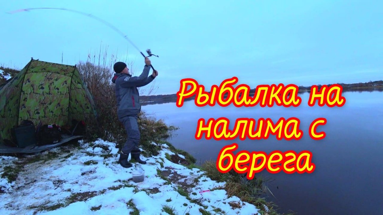 Налимы!!! На донку осенью