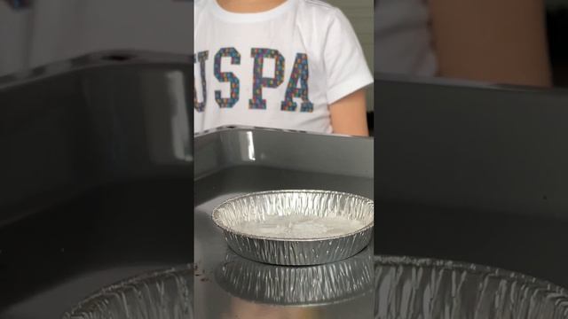 Марк и 🐍Фараонова змея. Опыт на кухне. Опасно!!!