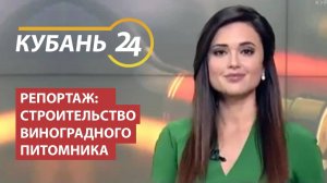 КУБАНЬ24_ Строительство виноградного питомника