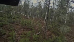 Живем в тайге 2. Питаемся добытым , ловим  медведя хулигана. Добыли ....