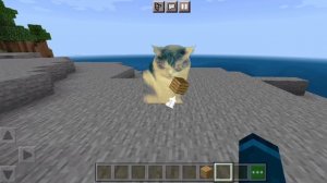 Кузя играет в Майнкрафт