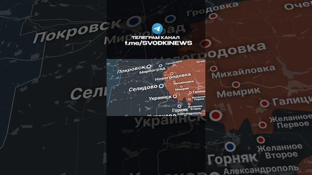 ВСУ БЕГУТ ПОД ПОКРОВСКОМ  НАСТУПЛЕНИЕ РОССИИ #россия #украина #война #покровск #курск