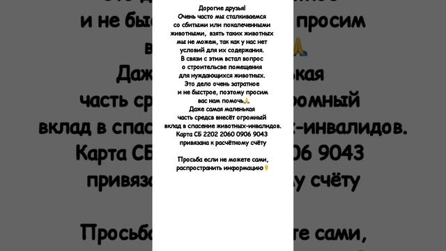#помощьприюту
