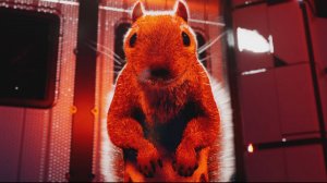 БЕЛКА С ОРУЖИЕМ  - Squirrel With A Gun