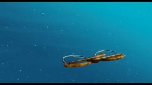 Монстры на каникулах 2 (2015 )