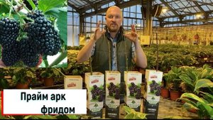 Отличные сорта ежевики и ежемалины весной 2022