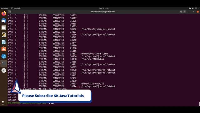 netstat  command in Linux  || Linux Tutorial || Linux Interview Question