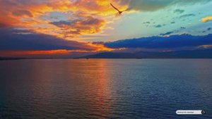 Коран сура Ан-Намль видео 4к Миншави -Minshawiy