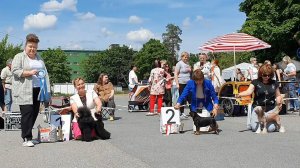 16.06.2024, СПб. Клуб "ТРИАДА-Л-2". Выставка CAC 9 группы FCI