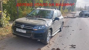 ЧП -дерево упало на машину! VW TOUAREG разбит!