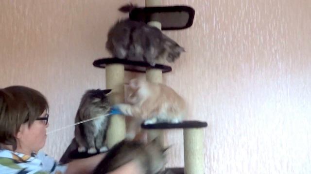 Мальчики - подростки