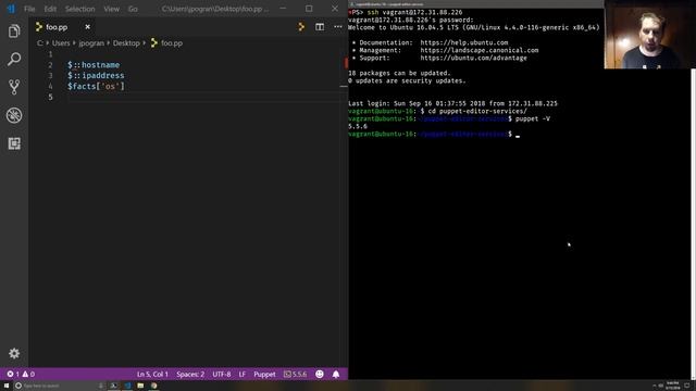 Puppet, PDK and Visual Studio Code - Remote Development