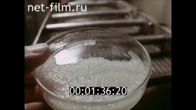 Производство белковой осетровой икры в СССР. смотреть онлайн