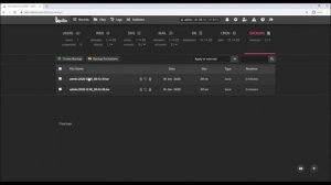Hestia CP Backups set quantity, create, delete, download, settings
