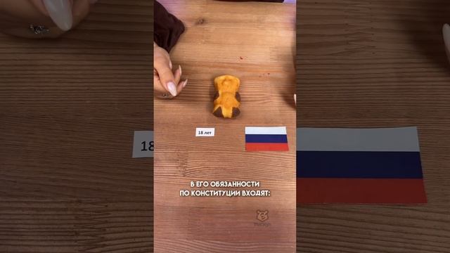 Конституционные обязанности гражданина РФ #настямалова #обществознание #егэ