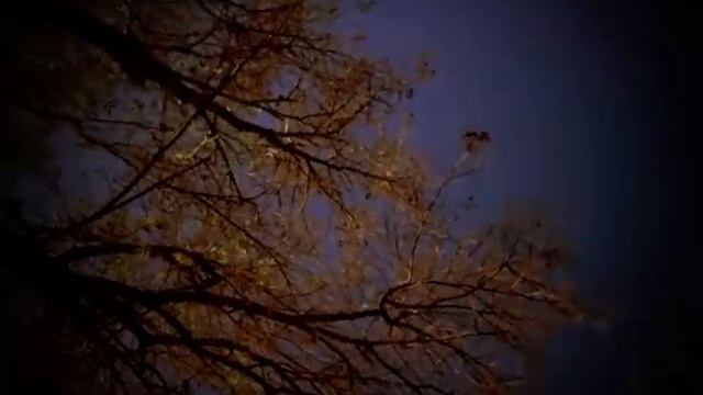 "8mm Vintage Camera" app for the iPhone 4/5
