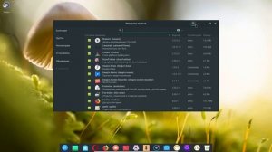 Краткий обзор графической среды Manjaro Deepin (17.1.12)