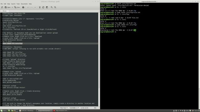 FTP Server (vsftpd) Anonymous user configuration on Ubuntu Server #124