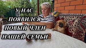 688ч Живём на юге России/Переехали с Урала на Кубань/Интересное из нашей жизни