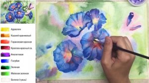«Цветы. Вьюнок» как нарисовать АКВАРЕЛЬ| Сезон 4-5 |Мастер-класс ДЕМО