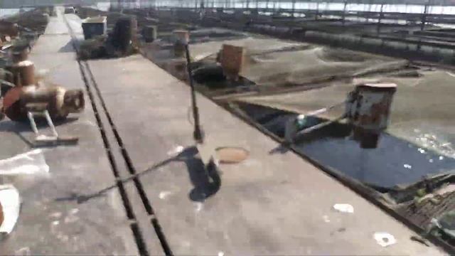 Кормление и выращивание карпа и сома в садках смотреть онлайн