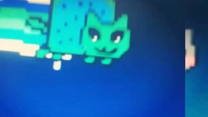 НЯН КЭТ приколы 😂😂😂😂😂