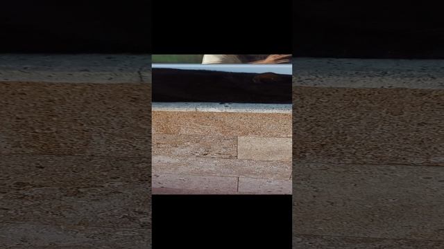 1000013109.mp4