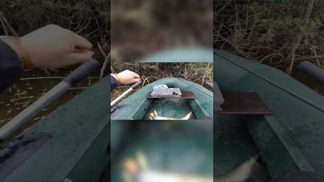 Атака щуки прямо под лодкой