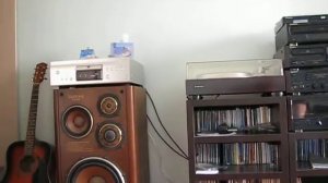 diatone ds-3000