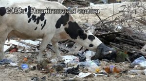 Мусорная реформа по-катайгински