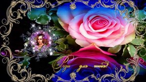 Розы для тебя!