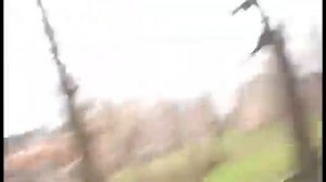 А я думала... Сова...