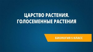 Урок 16. Царство Растения. Голосеменные растения