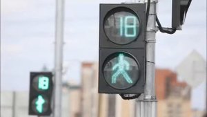У светофора каникул нет
