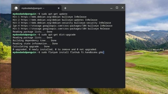 ChromeOS | Linux Development Environment | Install Handbrake onto a Chromebook