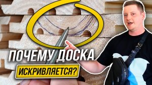 Любая Доска подвержена ИСКРИВЛЕНИЮ! Как минимизировать Риск?