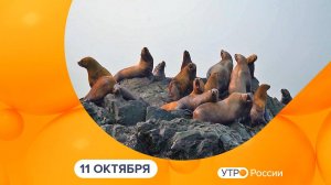 Утро России. Калуга (11.10.2024)