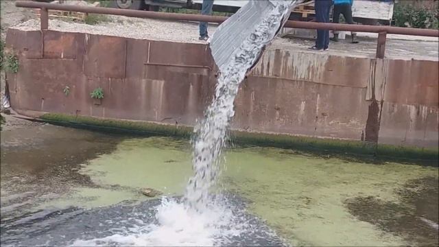 ВОТ ТАК НАДО ЗАРЫБЛЯТЬ ВОДОЁМЫ!!!! Зарыбление вдхща 1800 га карпом. смотреть онлайн