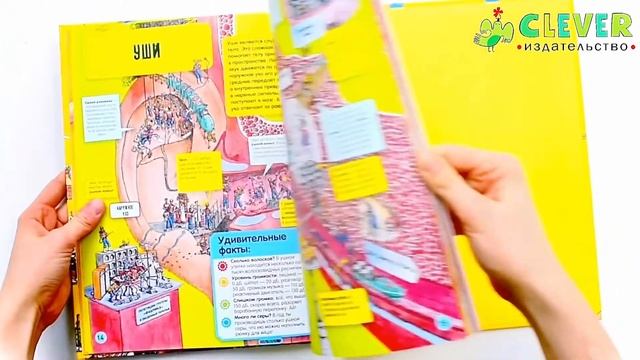 Невероятное тело человека. Как устроен организм внутри