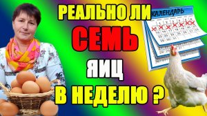 Реально ли, СЕМЬ яиц в неделю?