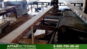 Двухвальный многопил "Белая акула" в Приобских лесах