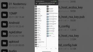 How to fixt Permission denied (publickey,password) or Permission denied, please try again.
