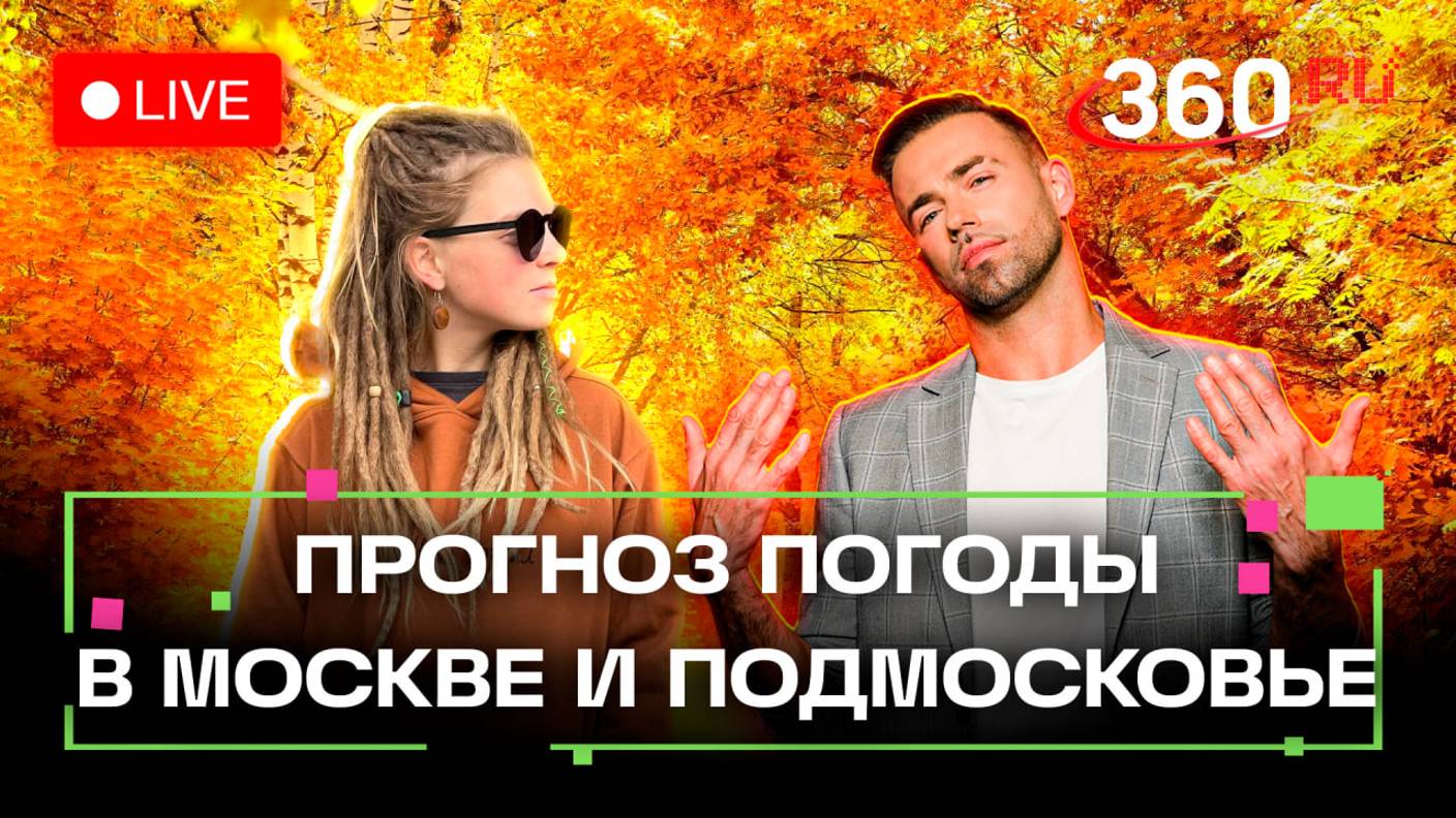 Прогноз погоды на 11 октября. Домодедово. Королев. Подмосковье. Шубенков. Переяславцева.