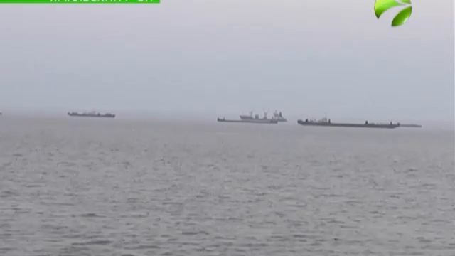 Сабетта прошла экспертизу