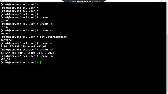 Linux Tutorial - 5. Using the uname command