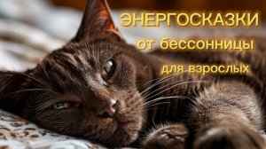 ВОЛШЕБСТВО КОТА✨Энергосказки✨от бессоницы для взрослых