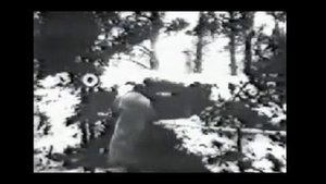 1941 декабрь Ленинградский фронт