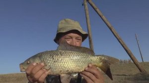 ОСЕННИЙ САЗАН НА ПОПЛАВОК! ЭТО БОЛОТО СНОВА УДИВЛЯЕТ! Поплавочная рыбалка на пересыхающем водоеме.